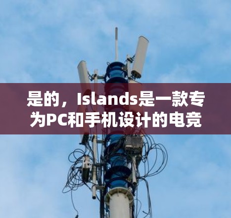 是的，Islands是一款专为PC和手机设计的电竞加速软件，主要帮助玩家快速获取比赛资格和排名。以下是关于Islands的详细说明
