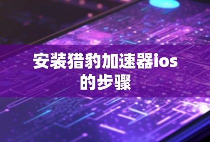 安装猎豹加速器ios的步骤