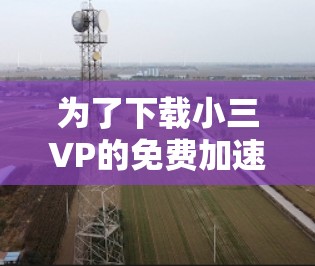 为了下载小三VP的免费加速器,您可以按照以下步骤操作