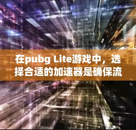 在pubg Lite游戏中,选择合适的加速器是确保流畅连接的关键。以下是一些推荐的免费加速器和工具,帮助您在pubg Lite中高效运行游戏