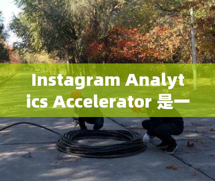 Instagram Analytics Accelerator 是一款专为Instagram 设计的免费加速器,帮助用户更快地管理Instagram 数据。以下是其详细信息
