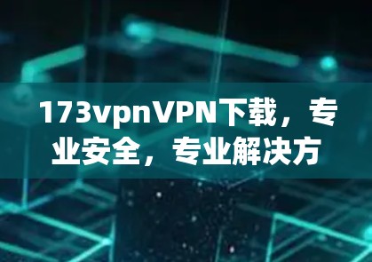 173vpnVPN下载,专业安全,专业解决方案,专业建议