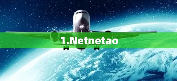 1.Netnetao