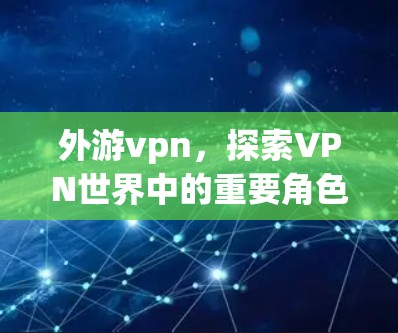 外游vpn,探索VPN世界中的重要角色