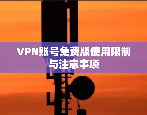VPN账号免费版使用限制与注意事项