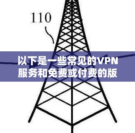 以下是一些常见的VPN服务和免费或付费的版本