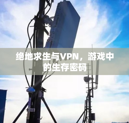 绝地求生与VPN,游戏中的生存密码