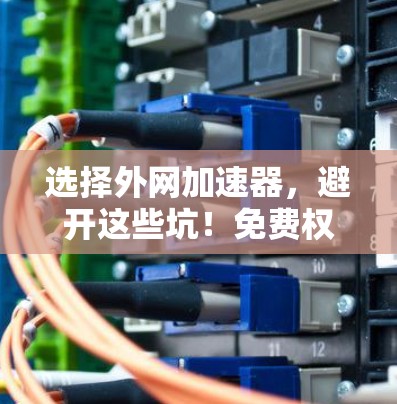 选择外网加速器,避开这些坑!免费权益如何获取?