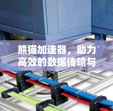 熊猫加速器，助力高效的数据传输与网络连接