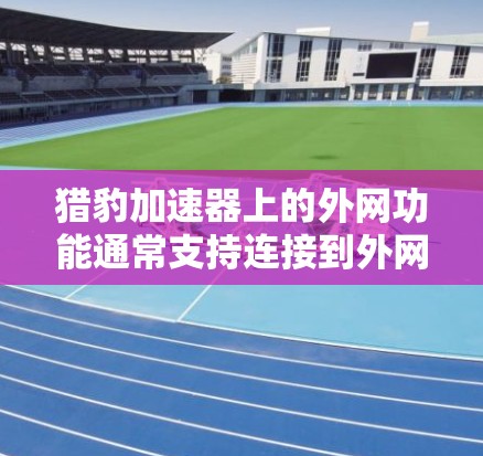 猎豹加速器上的外网功能通常支持连接到外网，但在某些情况下，它可能需要通过本地网络进行连接。以下是对猎豹加速器外网功能的详细分析