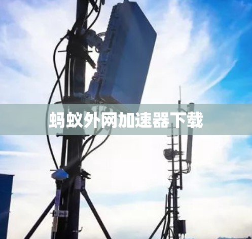 蚂蚁外网加速器下载