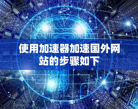 使用加速器加速国外网站的步骤如下