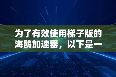 为了有效使用梯子版的海鸥加速器,以下是一个逐步指南