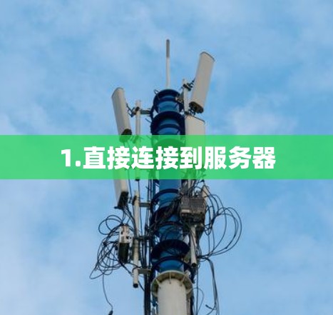 1.直接连接到服务器 1.直接连接到服务器