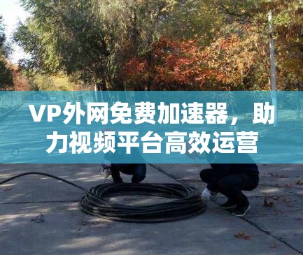 VP外网免费加速器，助力视频平台高效运营的终极选择