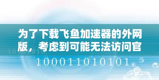为了下载飞鱼加速器的外网版，考虑到可能无法访问官方网站，建议以下步骤
