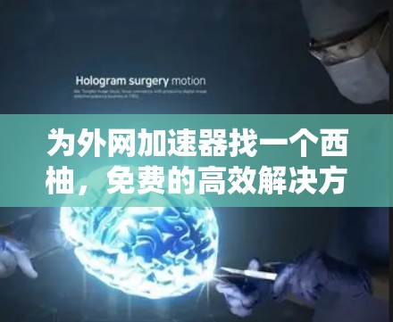 为外网加速器找一个西柚，免费的高效解决方案