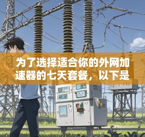 为了选择适合你的外网加速器的七天套餐，以下是一个分步的建议