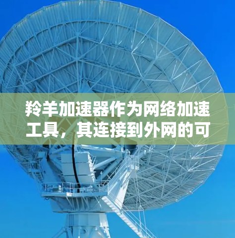 羚羊加速器作为网络加速工具，其连接到外网的可能性取决于其运行的网络环境和配置。以下是对不同网络配置下羚羊加速器连接到外网的可能性和建议