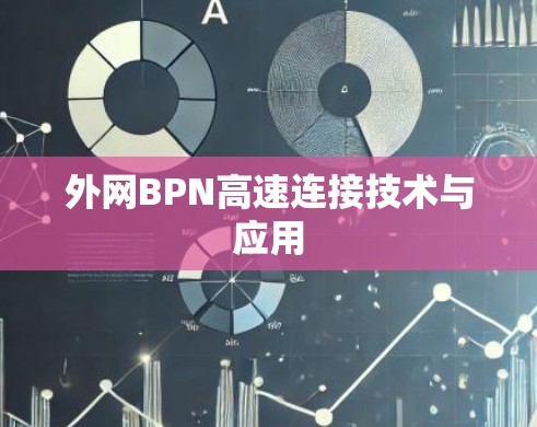 外网BPN高速连接技术与应用