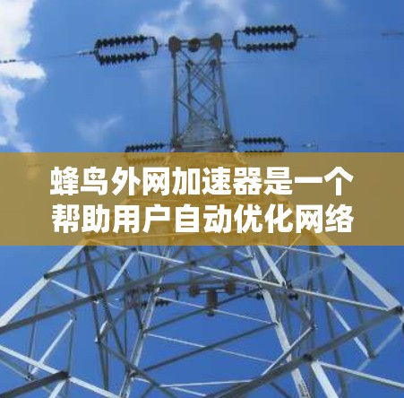 蜂鸟外网加速器是一个帮助用户自动优化网络连接和提升用户体验的工具，主要针对移动端使用。它通过自动检测网络、调整连接速度、缓存优化和自动切换连接方式等功能，提升网络性能。以下是对该工具的详细介绍