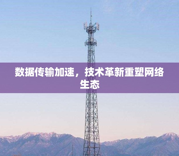 数据传输加速,技术革新重塑网络生态 数据传输加速,技术革新重塑网络生态