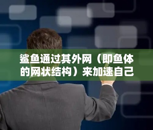 鲨鱼通过其外网(即鱼体的网状结构)来加速自己,这种运动方式与鱼的生理和生理结构密切相关。鲨鱼的外网结构允许它们在水面上进行更大的运动范围和捕猎能力。以下是关于鲨鱼外网加速机制的详细分析 鲨鱼通过其外网(即鱼体的网状结构)来加速自己,这种运动方式与鱼的生理和生理结构密切相关。鲨鱼的外网结构允许它们在水面上进行更大的运动范围和捕猎能力。以下是关于鲨鱼外网加速机制的详细分析