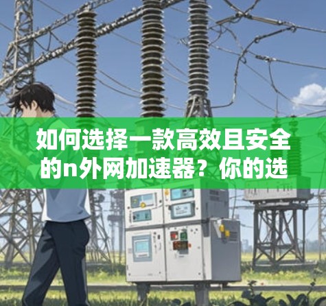如何选择一款高效且安全的n外网加速器？你的选择将决定你的网络未来