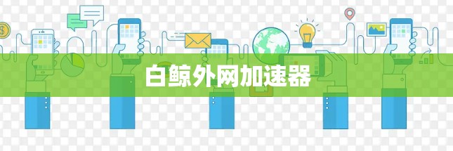 白鲸外网加速器