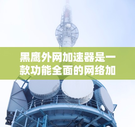 黑鹰外网加速器是一款功能全面的网络加速工具，适合需要快速访问互联网的用户。它支持多种加速模式，包括网页搜索、快速下载和上传文件，以及网络流量监控。以下是关于黑鹰外网加速器的详细信息