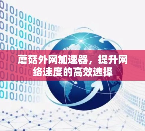 蘑菇外网加速器,提升网络速度的高效选择 蘑菇外网加速器,提升网络速度的高效选择