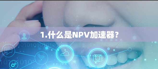 1.什么是NPV加速器? 1.什么是NPV加速器?