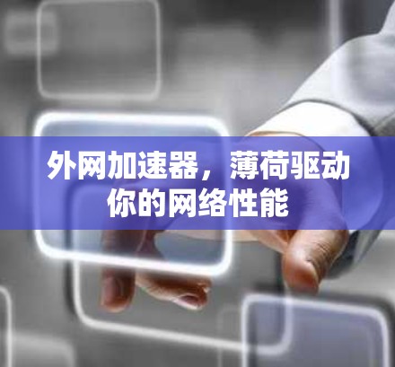 外网加速器,薄荷驱动你的网络性能 外网加速器,薄荷驱动你的网络性能