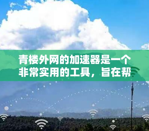 青楼外网的加速器是一个非常实用的工具，旨在帮助用户更快地访问网络资源。以下是关于该工具的详细信息