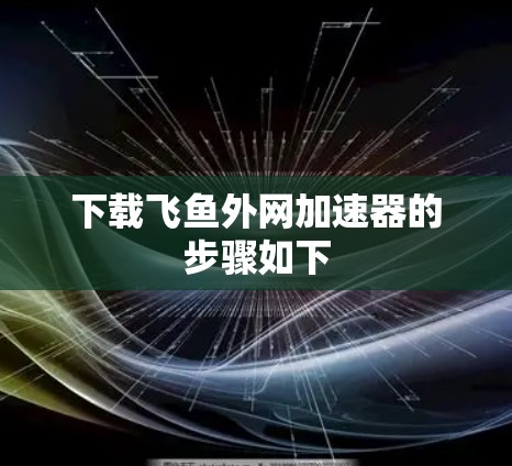 下载飞鱼外网加速器的步骤如下