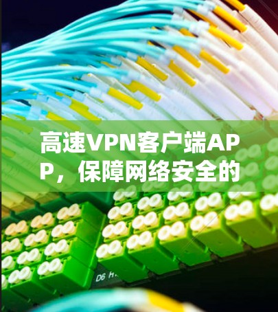 高速VPN客户端APP，保障网络安全的高效解决方案