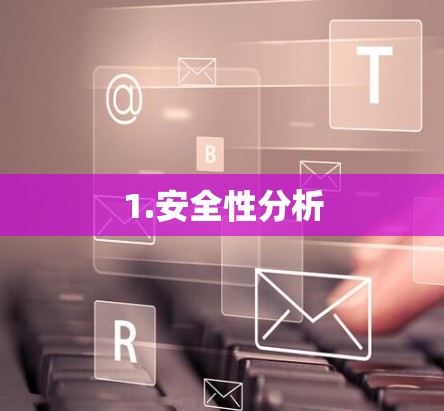 1.安全性分析
