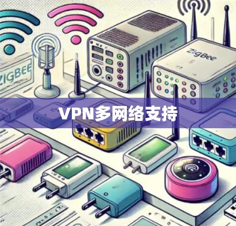 VPN多网络支持