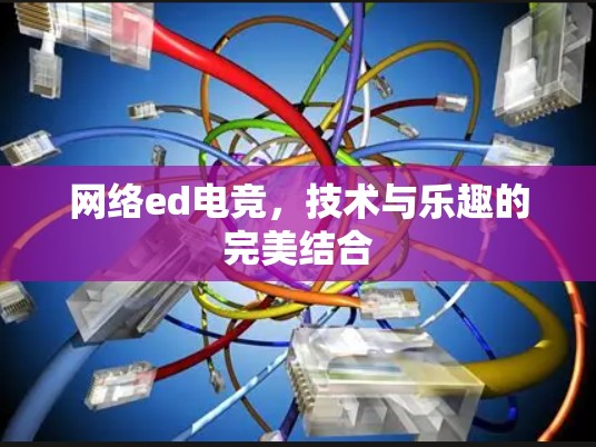 网络ed电竞,技术与乐趣的完美结合 网络ed电竞,技术与乐趣的完美结合