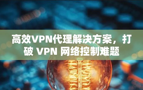 高效VPN代理解决方案，打破 VPN 网络控制难题