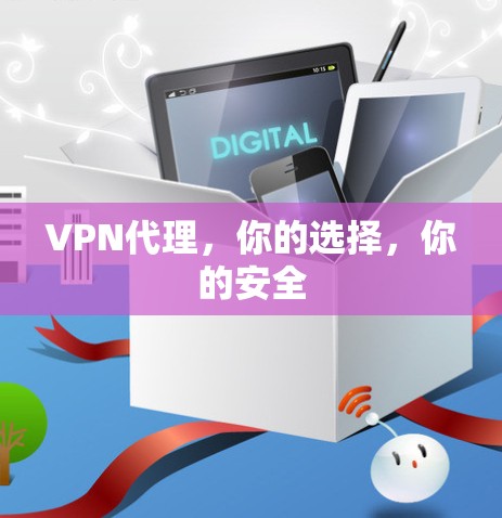 VPN代理,你的选择,你的安全 VPN代理,你的选择,你的安全