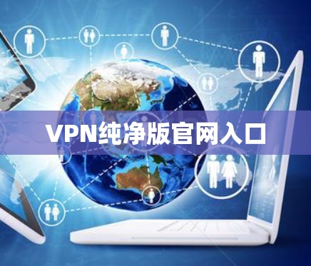 VPN纯净版官网入口 VPN纯净版官网入口