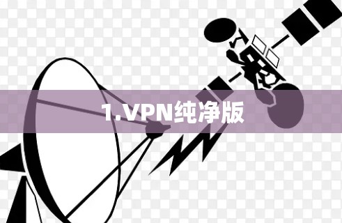 1.VPN纯净版 1.VPN纯净版