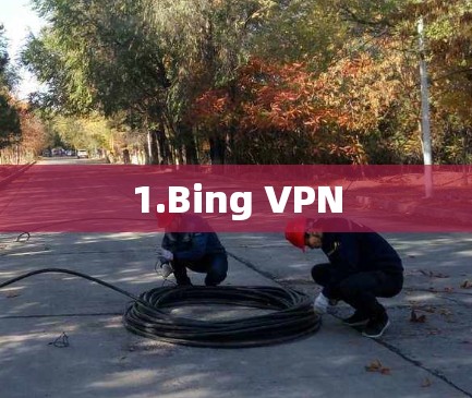 1.Bing VPN