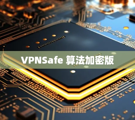 VPNSafe 算法加密版 VPNSafe 算法加密版