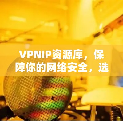 VPNIP资源库,保障你的网络安全,选择你! VPNIP资源库,保障你的网络安全,选择你!