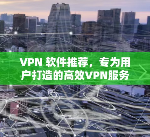 VPN 软件推荐，专为用户打造的高效VPN服务