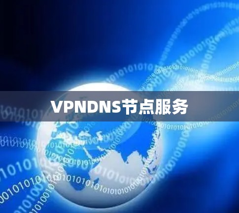 VPNDNS节点服务 VPNDNS节点服务