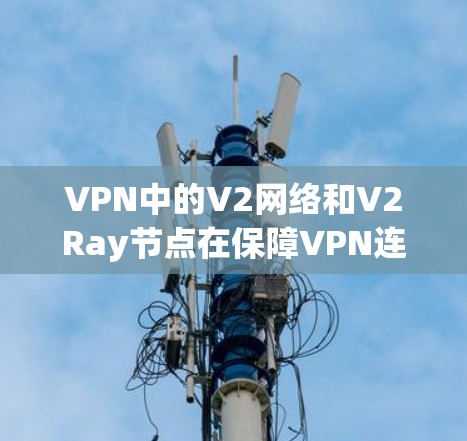 VPN中的V2网络和V2Ray节点在保障VPN连接的安全性和高效性方面发挥着重要作用。以下是关于V2网络和V2Ray节点的详细分析 VPN中的V2网络和V2Ray节点在保障VPN连接的安全性和高效性方面发挥着重要作用。以下是关于V2网络和V2Ray节点的详细分析