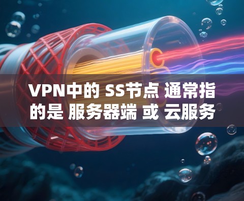 VPN中的 SS节点 通常指的是 服务器端 或 云服务器。以下是一些推荐的 SS 节点类型和特点，供你参考